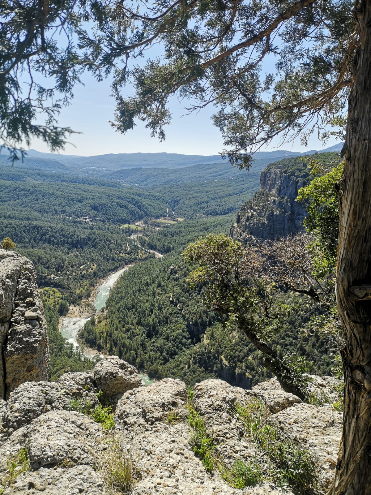 KURTO (Tazi) KANJONAS